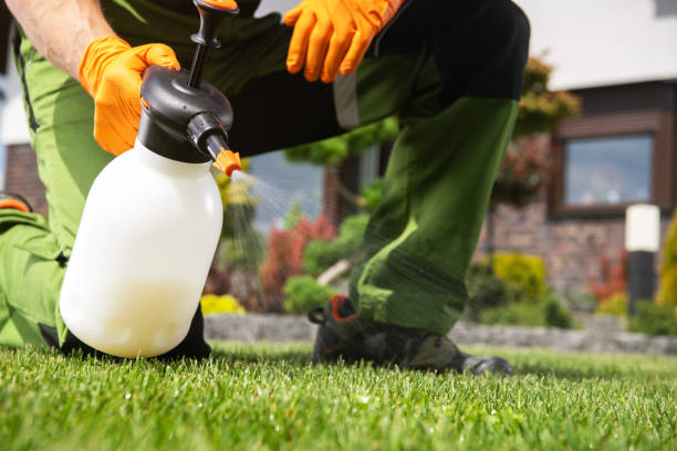 Best Residential Pest Control  in Lake Winnebago, MO