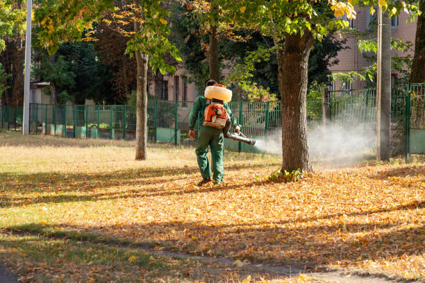 Insect Control in Lake Winnebago, MO