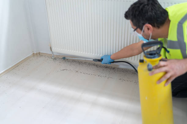 Best Pest Removal Services  in Lake Winnebago, MO