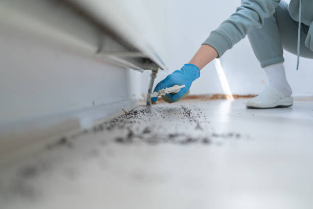 Best Pest Removal Services  in Lake Winnebago, MO