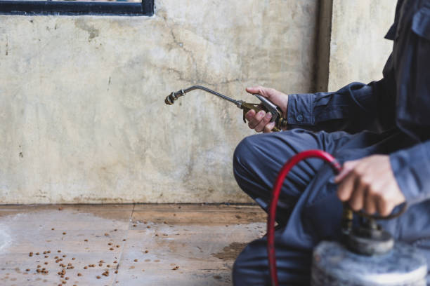 Best Affordable Pest Control Services  in Lake Winnebago, MO